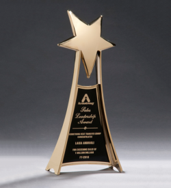 Star Casting Trophy in Gold Tone Finish