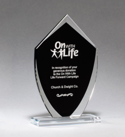 Shield Shaped Glass Award with Black Silk Screened Center